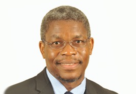 Prof. Fulufhelo Netswera